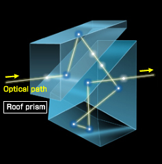 ساختار منشور مستقیم roof prism